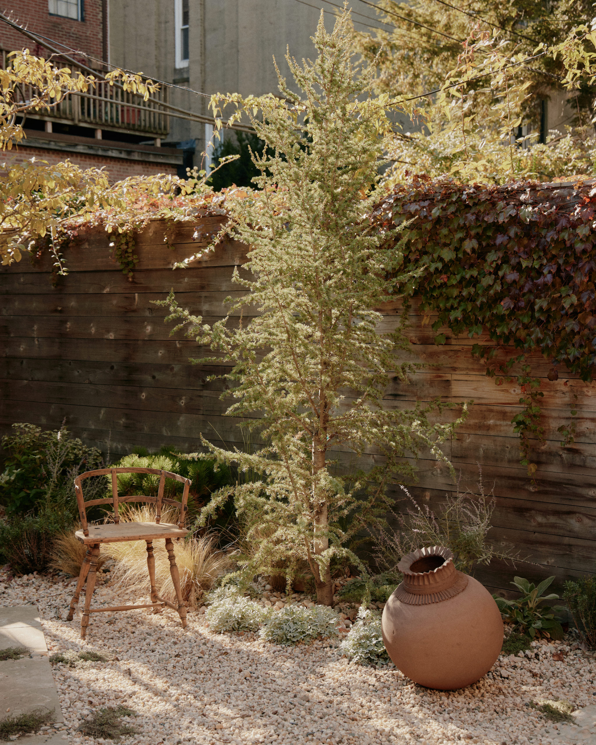 The One Area of Athena’s Brooklyn Home You’ve Never Seen: The Garden!