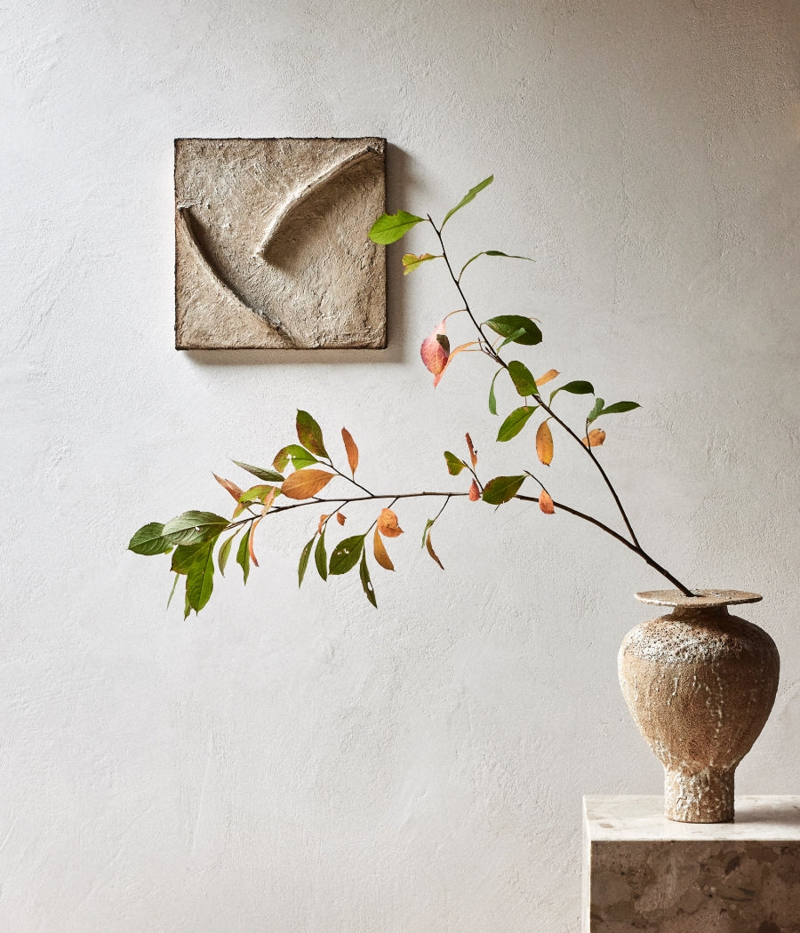 Isolated n.7 Terracotta - ES Exclusive - Canoa Lab