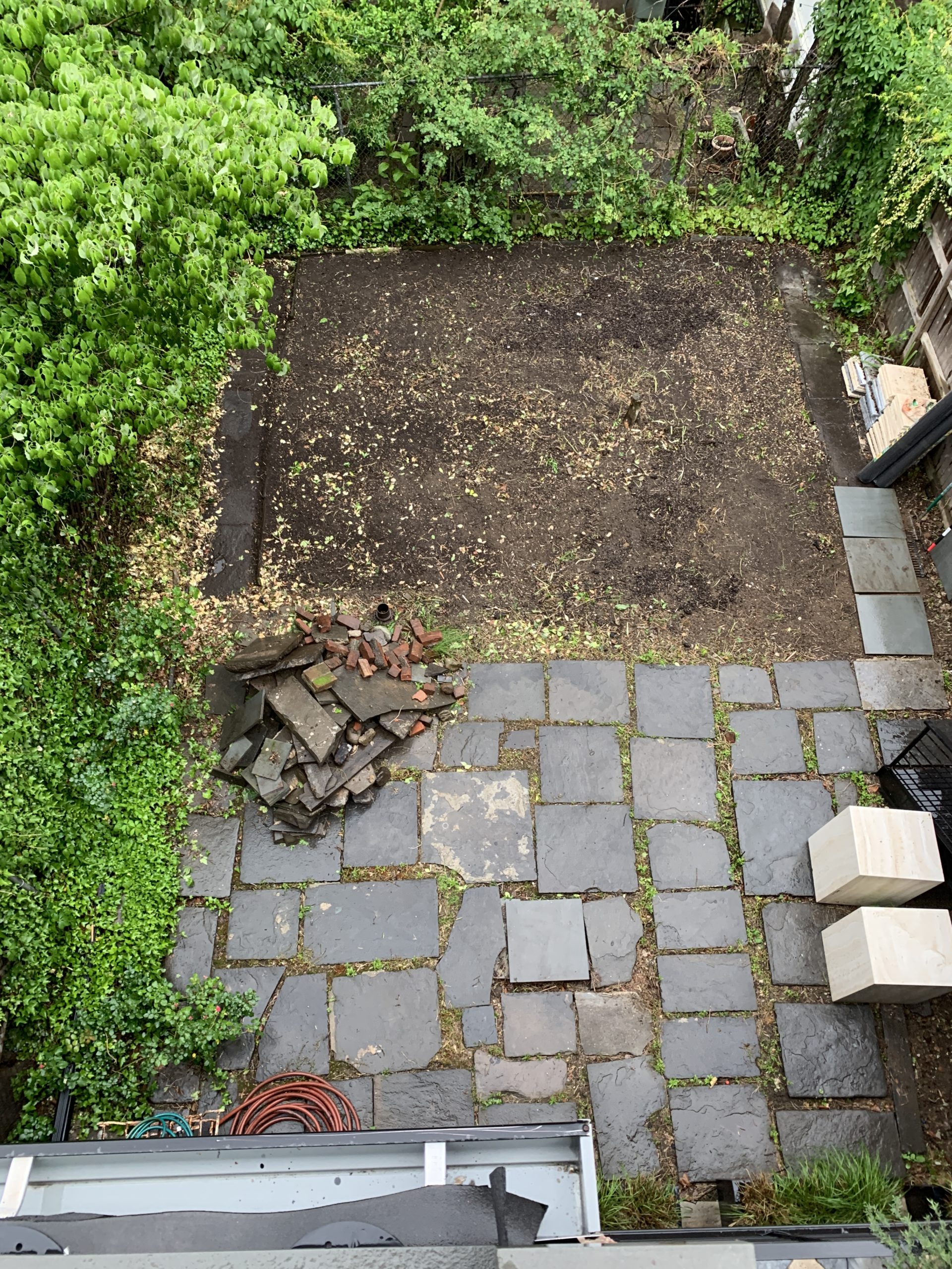 The One Area of Athena’s Brooklyn Home You’ve Never Seen: The Garden!