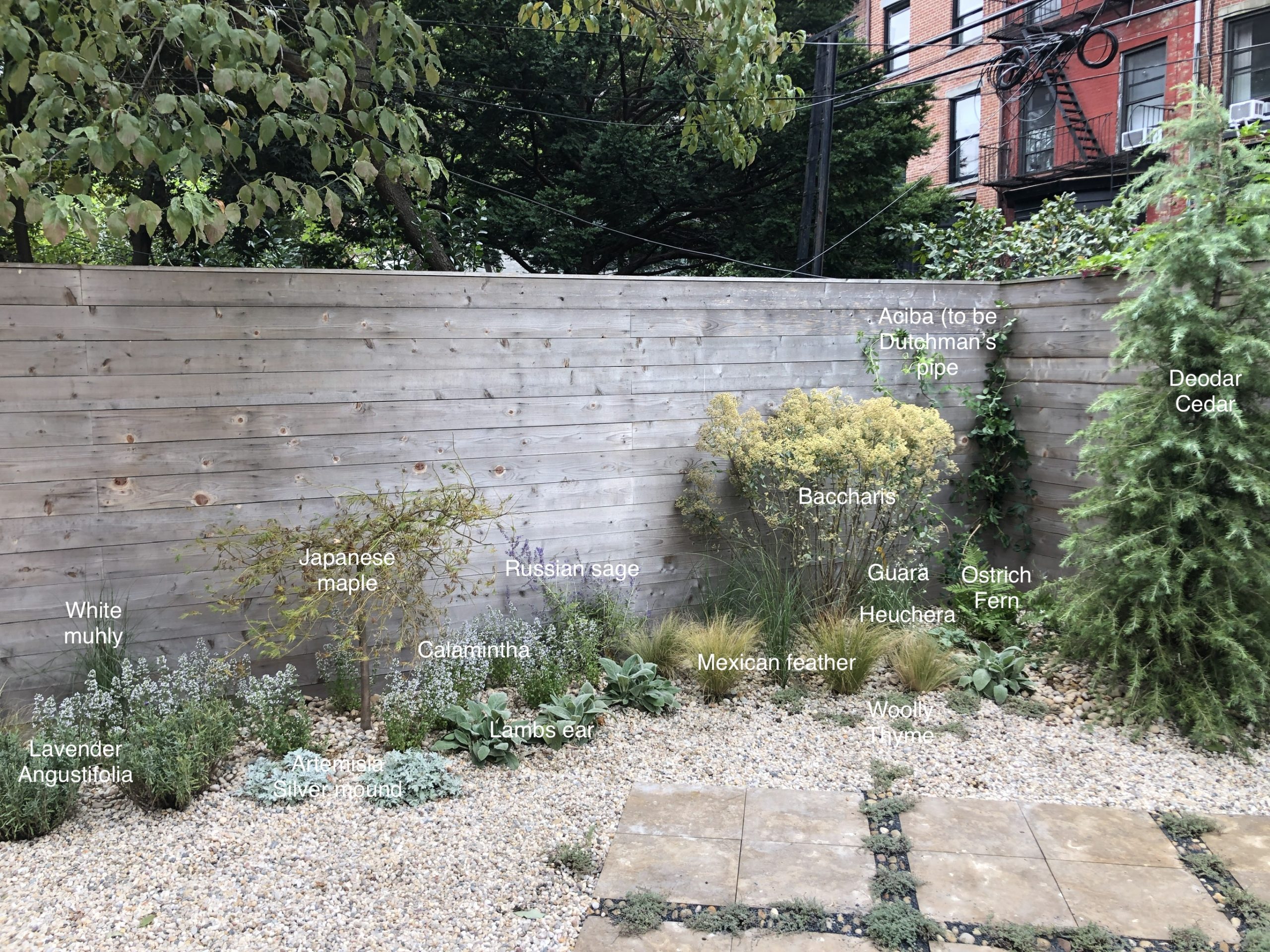 The One Area of Athena’s Brooklyn Home You’ve Never Seen: The Garden!