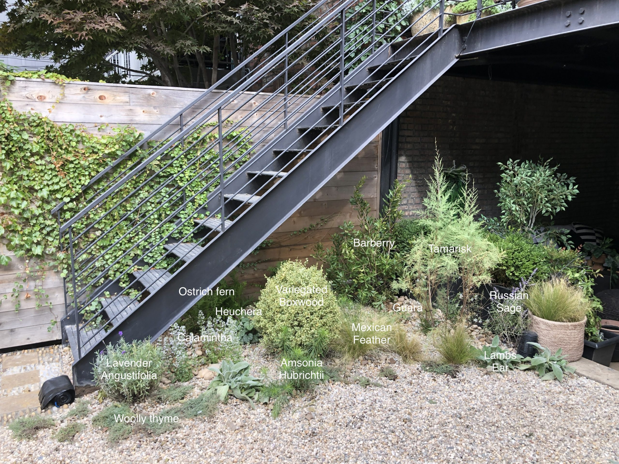 The One Area of Athena’s Brooklyn Home You’ve Never Seen: The Garden!