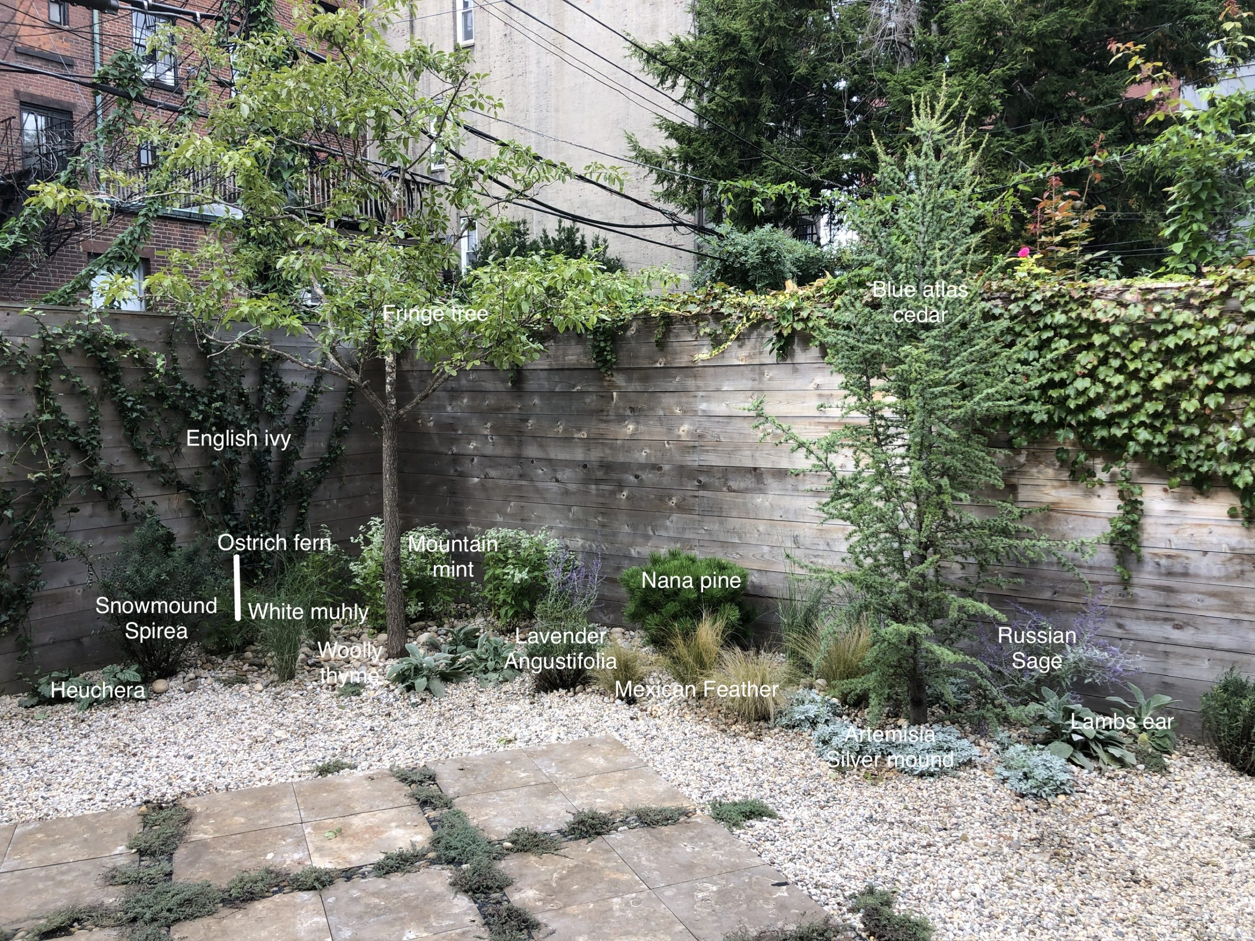 The One Area of Athena’s Brooklyn Home You’ve Never Seen: The Garden!