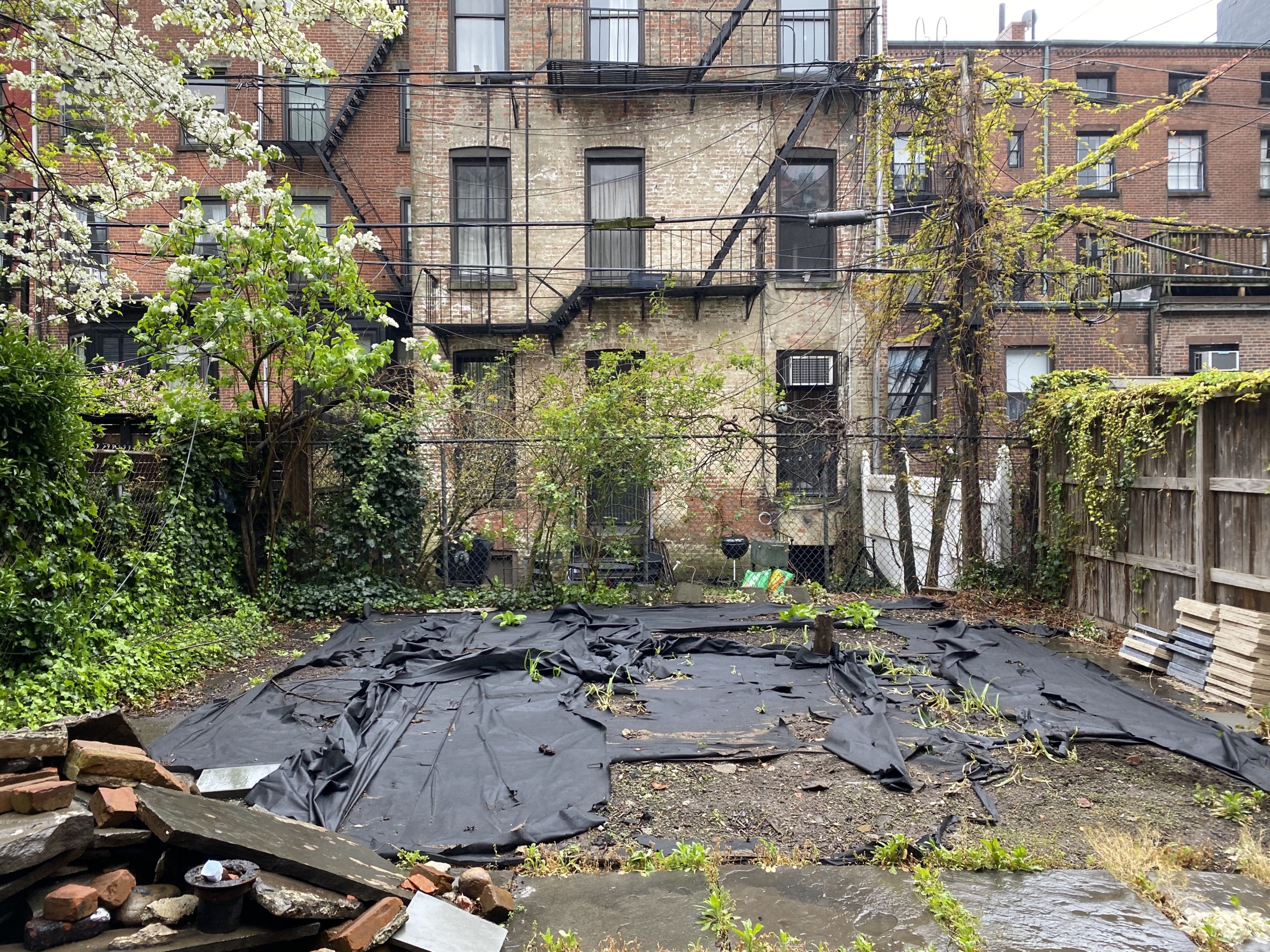 The One Area of Athena’s Brooklyn Home You’ve Never Seen: The Garden!